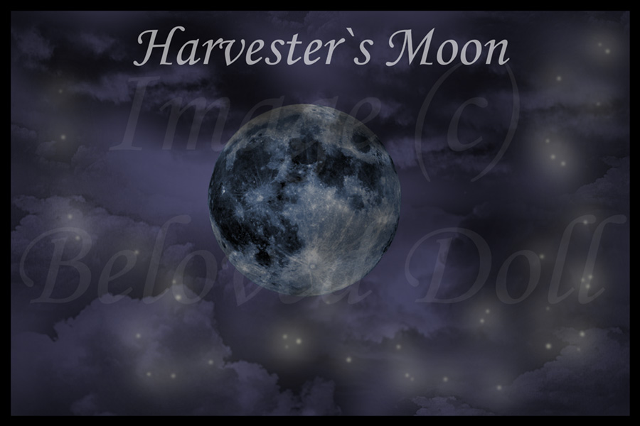 Harvester`s Moon